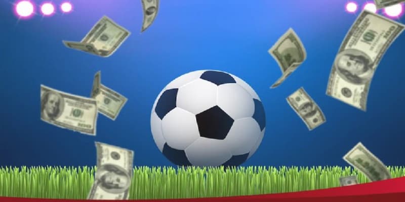 K8 tại sao được ưa chuộng