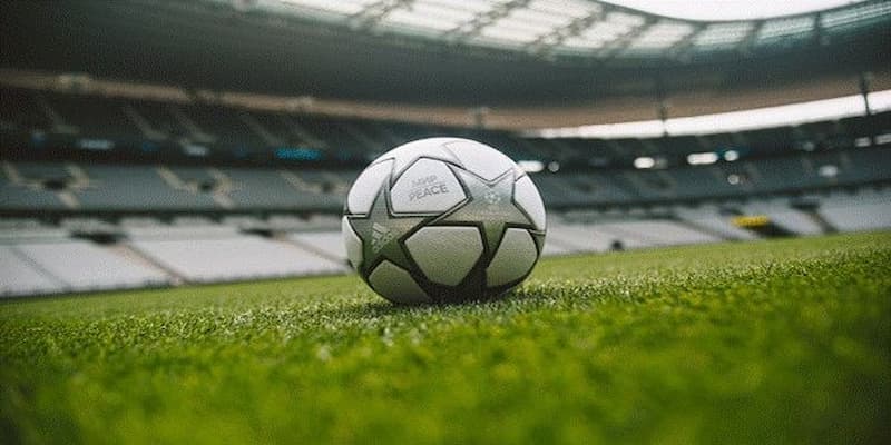 Trang cá cược xanh chín Trang cá cược xanh chín với ưu điểm nổi bật