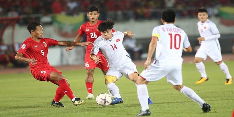 Trang cá cược xanh chín Trang cá cược xanh chín về hướng dẫn