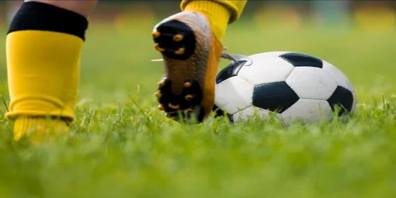 188Bet 188Bet về các loại cược