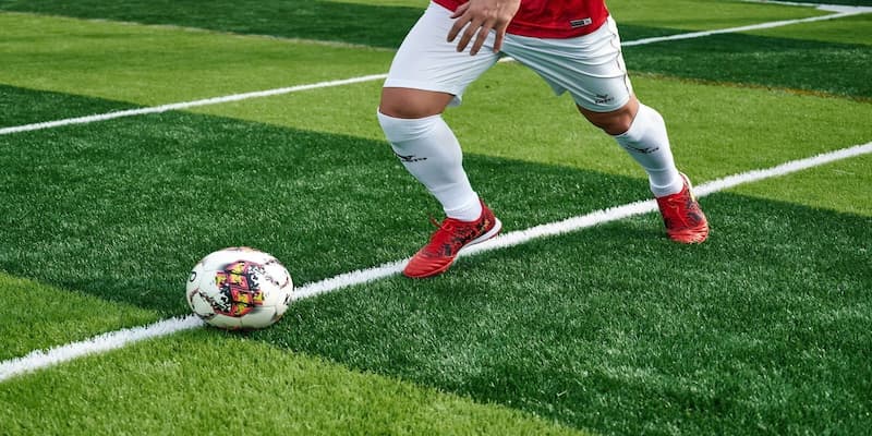 M88 M88 trong kinh nghiệm cá cược