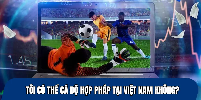 Tôi có thể cá độ hợp pháp tại Việt Nam không?
